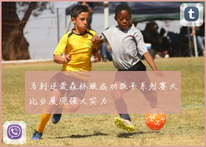 马刺逆袭森林狼成功扳平系列赛大比分展现强大实力